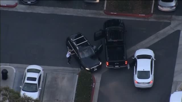 Un perro policía acaba con una frenética persecución en Estados Unidos