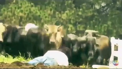 A que não podia amar_ Capítulo 55 _Completo (21_06_2019)