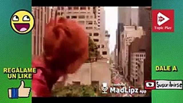 VIDEOS VIRALES Si Te Ries Pierdes JULIO 2019