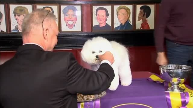 Hasta Michael Kors quiere una fotografía con Flynn