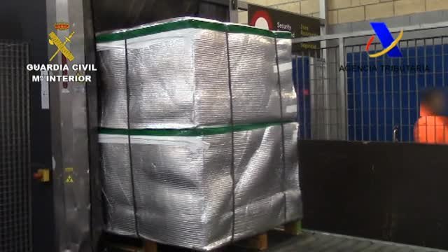 La Guardia Civil intensifica los controles para evitar el tráfico ilegal de angulas vivas