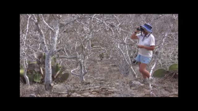 La Fundación BBVA premia a Rosemary y Peter Grant por descubrir mecanismos de la evolución fundamentales para conservar especies amenazadas