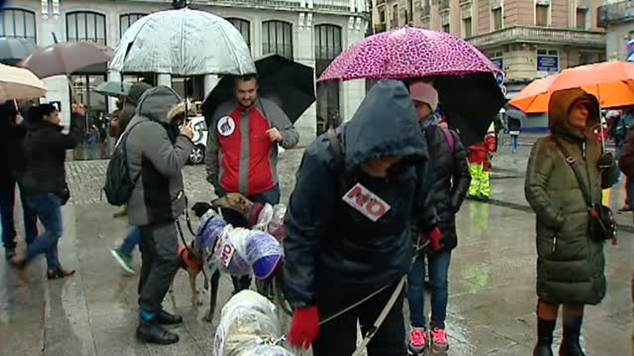 Multitudinaria manifestación en Madrid en contr...
