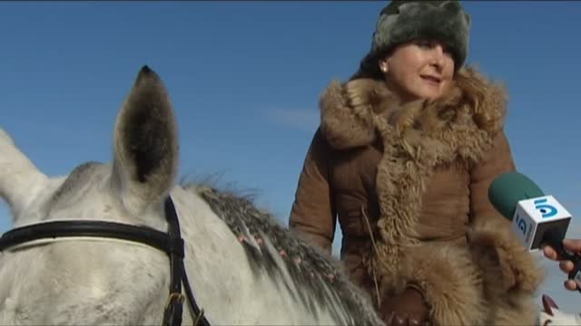Se calcula que cada año 50.000 galgos son abandonados en España