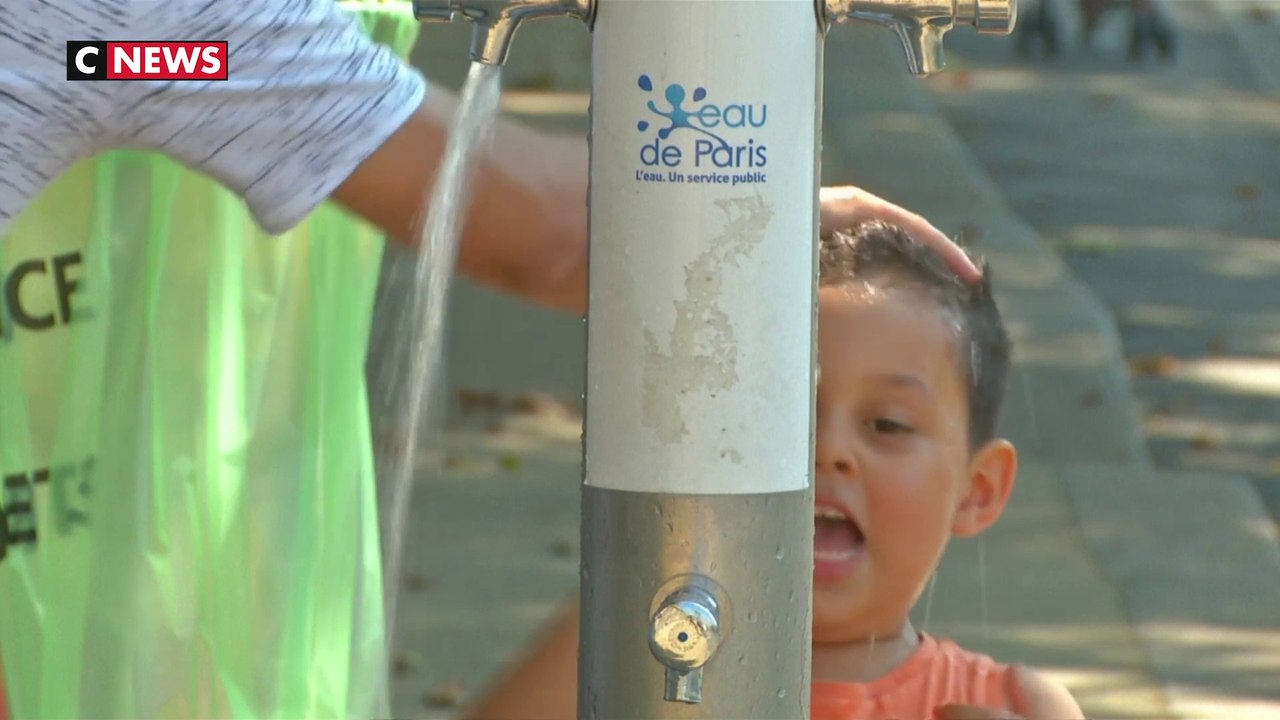 Canicule : les bons réflexes à adopter