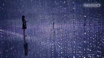 Llega al público el arte ultratecnológico de la mano de los japoneses de TeamLab