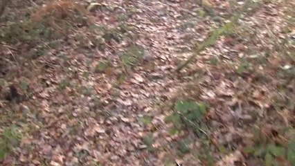 El cadáver de Jon ha sido encontrado a 15 kilómetros de donde desapareció