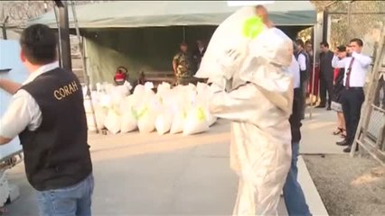 Queman más de ocho toneladas de droga confiscada en Perú a lo largo de 2017