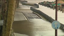 Las fuertes lluvias desbordan el río Sena