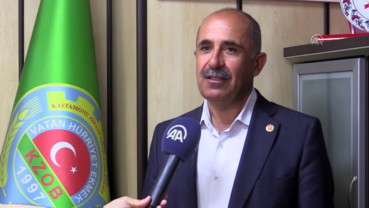 Taşköprü sarımsağında düşük rekolte, yüksek fiyat beklentisi - KASTAMONU