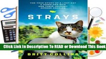 [Read] Strays: The True Story of a Lost Cat, a Homeless Man, and Their Journey Across America  For