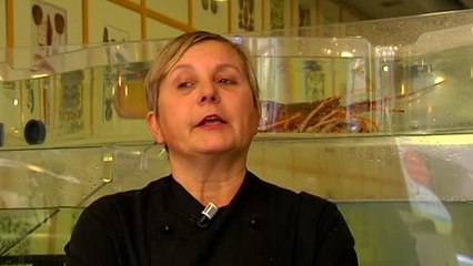 Suiza prohíbe hervir vivos a los crustáceos