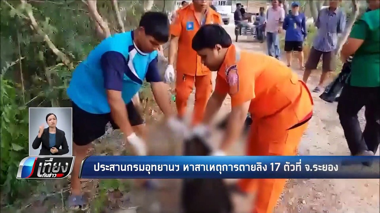 ประสานกรมอุทยานฯ หาสาเหตุการตายลิง 17 ตัว ที่ จ.ระยอง - เที่ยงทันข่าว