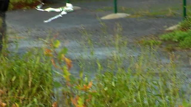 Acaba el registro de la nave donde apareció Diana Quer