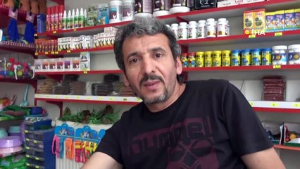 İşin uzmanından evcil hayvan bakımı önerileri