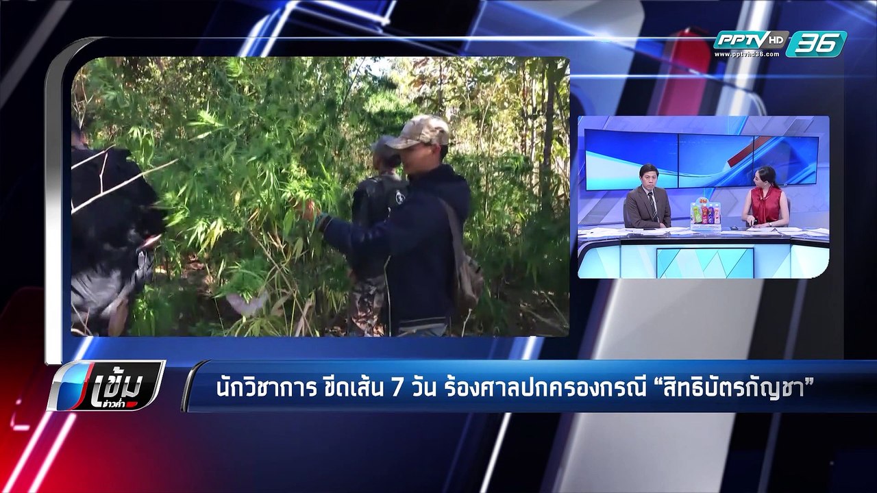 นักวิชาการ ขีดเส้น 7 วัน ร้องศาลปกครอง ปม “สิทธิบัตรกัญชา” - เข้มข่าวค่ำ