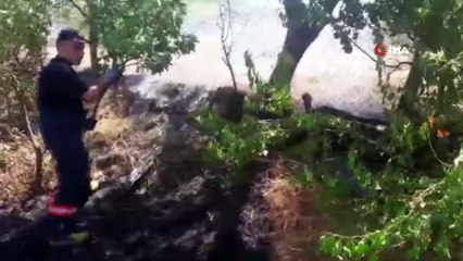 Siirt’te fıstık bağlarında çıkan yangında 200 dönüm alan zarar gördü