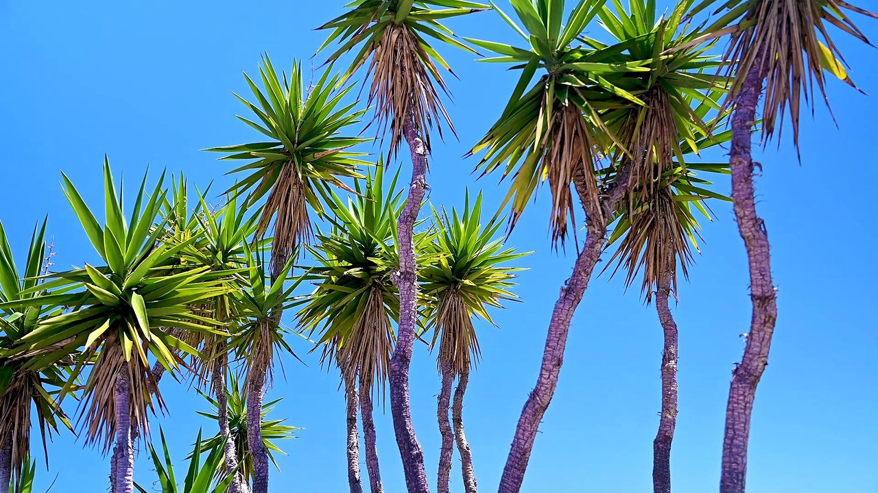 Hommage á labyrinth