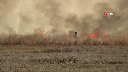 Devasa yangını elbiseleri ile söndürmeye çalıştılar