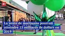 La vente de marijuana pourrait atteindre 15 milliards de dollars en 2019