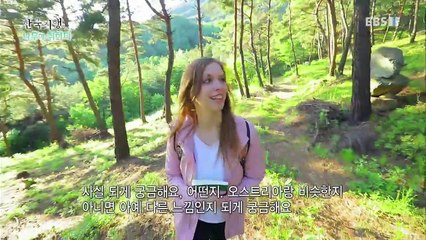 한국기행 - Korea travel_나무에 취하다 1부- 지리산에 나무 보러 갈까요?_#001