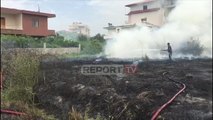 Report TV - Fier, banori po digjte disa shkurre, zjarri rrezikon banesat, ndërhyjnë zjarrëfikset