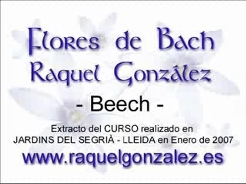 FLORES DE BACH - Raquel González - BEECH