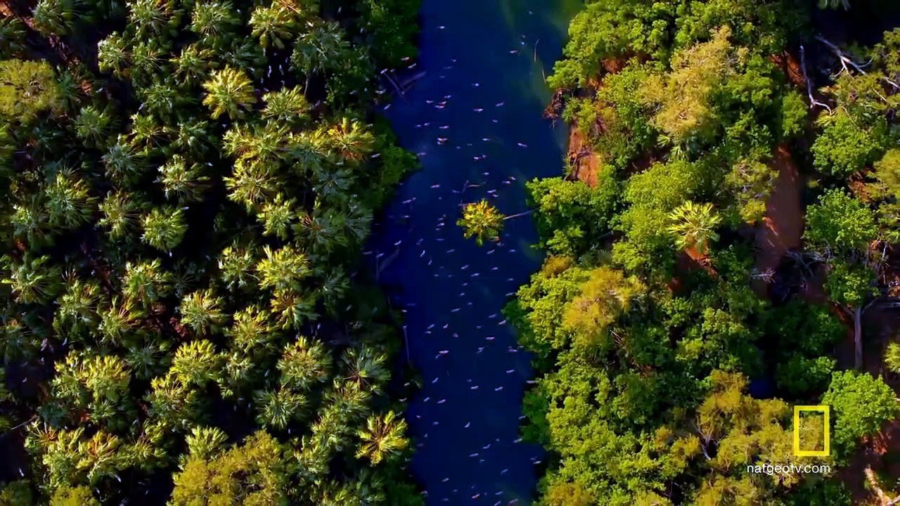 Hostile Planet Trailer