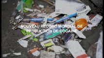 Nouveau record mondial de production de cocaïne