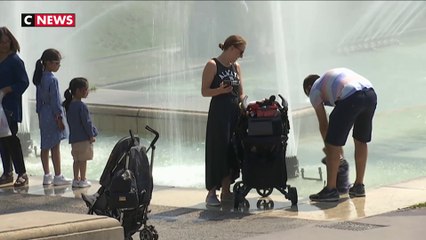 Quels sont les 4 niveaux du plan canicule ?
