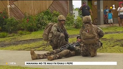 TH : Journée nationale des blessés de l'armée de terre