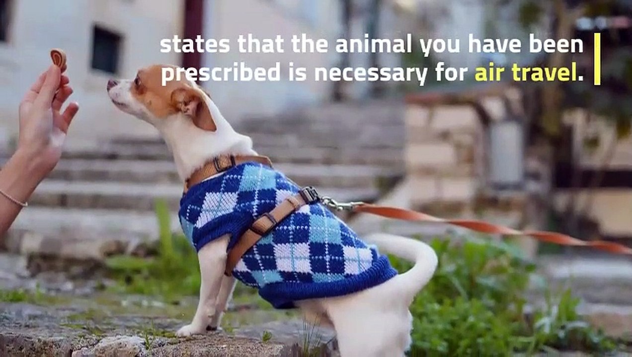 Emotional Support Animal Letter For Flying