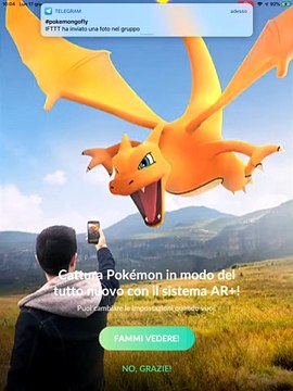 MAGCARGO IV 100 CP 1531 LIV 34