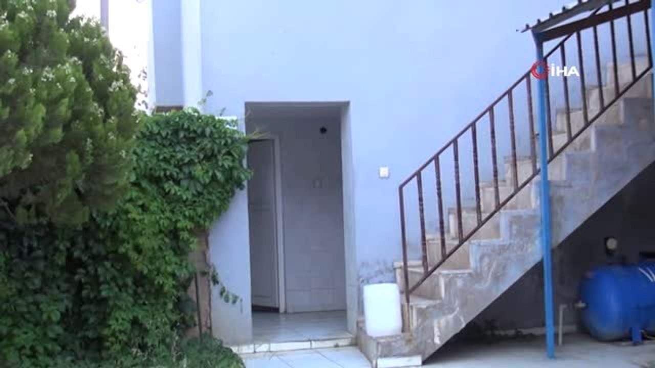 Köpeklerden kaçan yavru tilki tuvalete sığındı