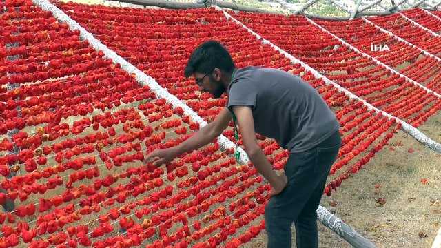 Gastronomi kenti Gaziantep kırmızıya boyandı