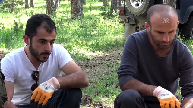 Sarıkamış yabani hayvanlarla ilgili eğitim merkezi olacak - KARS