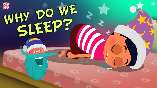 Why Do We Sleep? The Dr. Binocs Show | Best Learning Videos For Kids | Peekaboo Kidz
