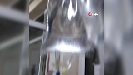 Vicdansız sürücü çarpıp olay yerinde bıraktı, Büyükşehir hayata döndürdü