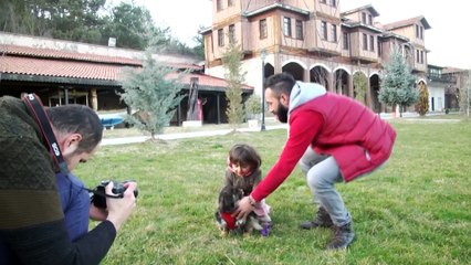 Fotoğraf çektirip ücretini mama ile ödüyorlar - KASTAMONU