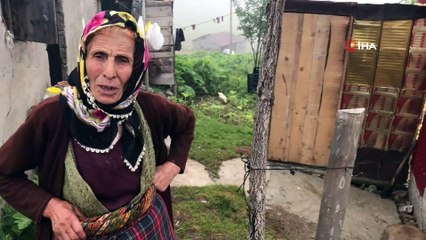 Honefter Yaylası’ndaki inek ölümleri yayla sakinlerini korkutuyor
