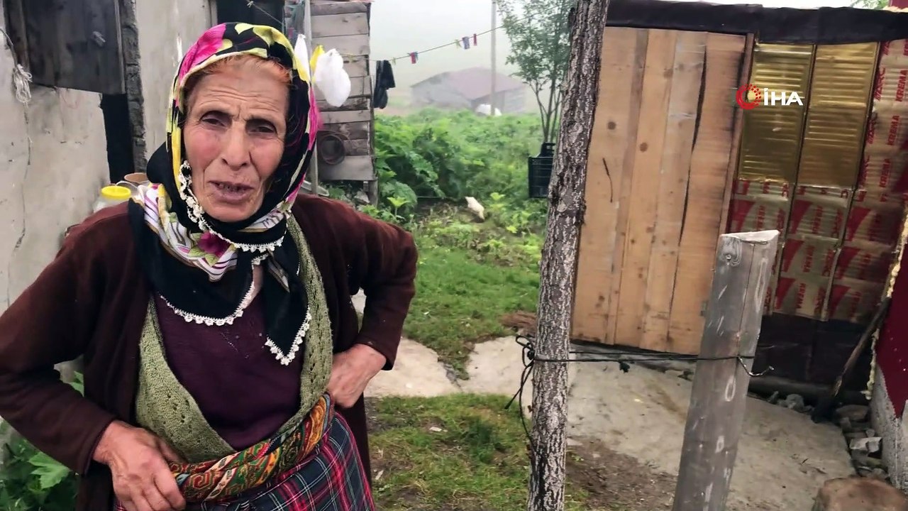Honefter Yaylası’ndaki inek ölümleri yayla sakinlerini korkutuyor