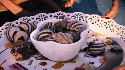 الحلزون أكلة شعبية يقبل عليها المغاربة