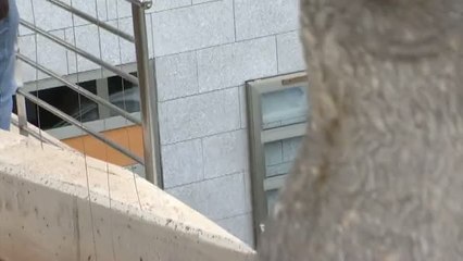 El autor confeso del triple asesinato de Tenerife empezó a planearlo en diciembre