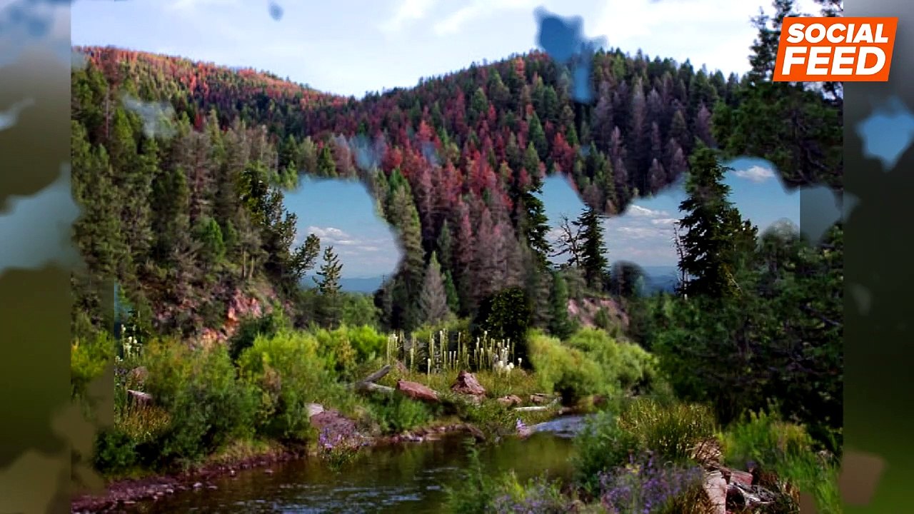 6 Breathtakingly Beautiful Montana National Parks And Forests To Quench Your Wanderlust