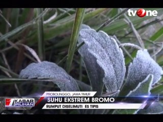 Suhu Ekstrem Bromo, Rumput Diselimuti Es Tipis