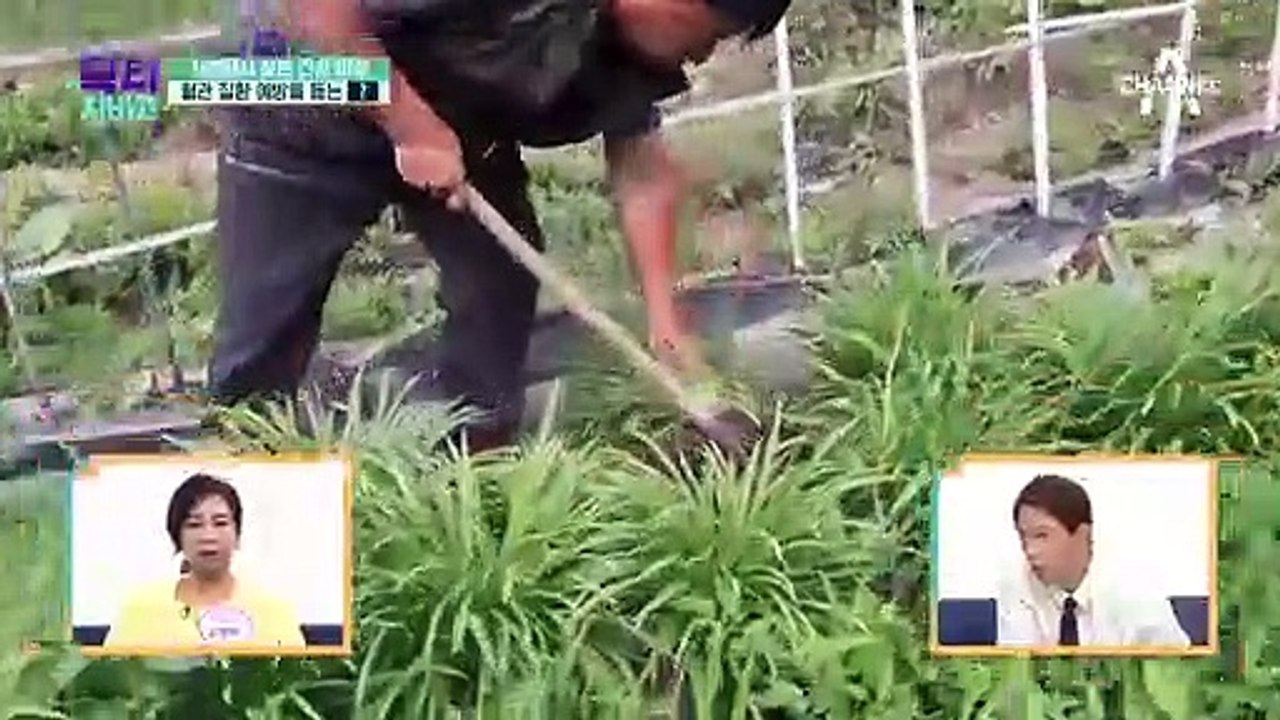 뇌졸중을 극복한 남자! 여름 뇌졸중 예방을 위한 OO의 정체는?!