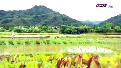 Đại Thời Đại Tập 87 - đại thời đại tập 88 - Phim Đài Loan - THVL1 Lồng Tiếng - Phim Dai Thoi Dai Tap 87