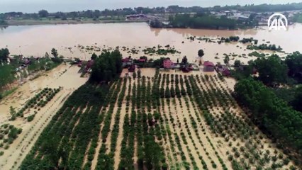 Samsun'da sağanak ev ve tarım arazilerini su altında bıraktı