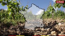 Route des vins : Provence