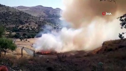 Arı kovanlarının bulunduğu alan alev alev böyle yandı... Yangında yüzlerce arı telef oldu